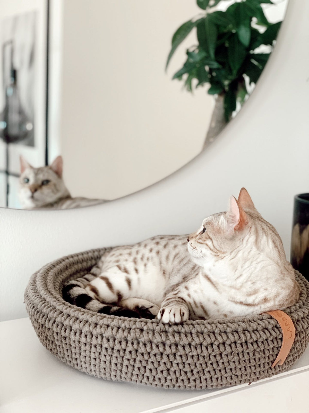 Coco Dog/Cat Bed - Light Brown