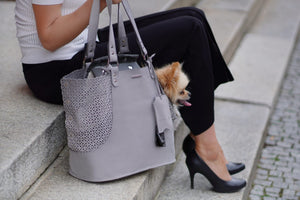 Elva Dog Carrier & Personal Bag - Light Grey 