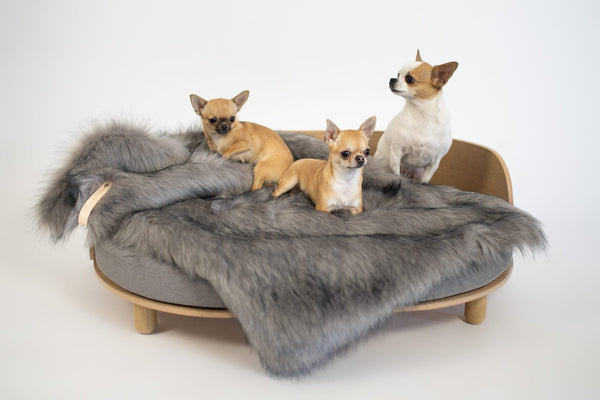 Föra Blanket  - Silver 