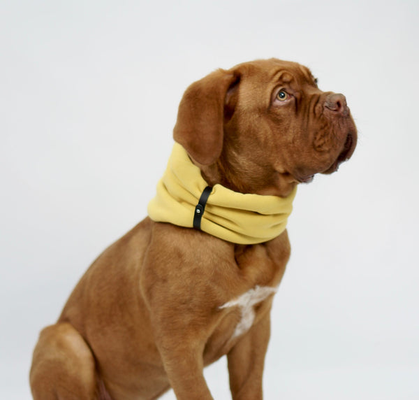 Inko Neck Warmer - Gold 