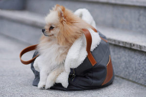Liiva Dog Carrier & Personal Bag - Grey 