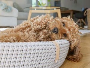 Lukko Dog Bed - Light Grey 