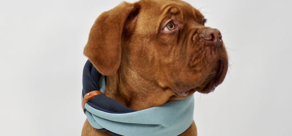 Simo Neck Warmer - Turquoise & Iron 