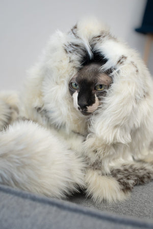 Tösse Blanket - Brown & White 
